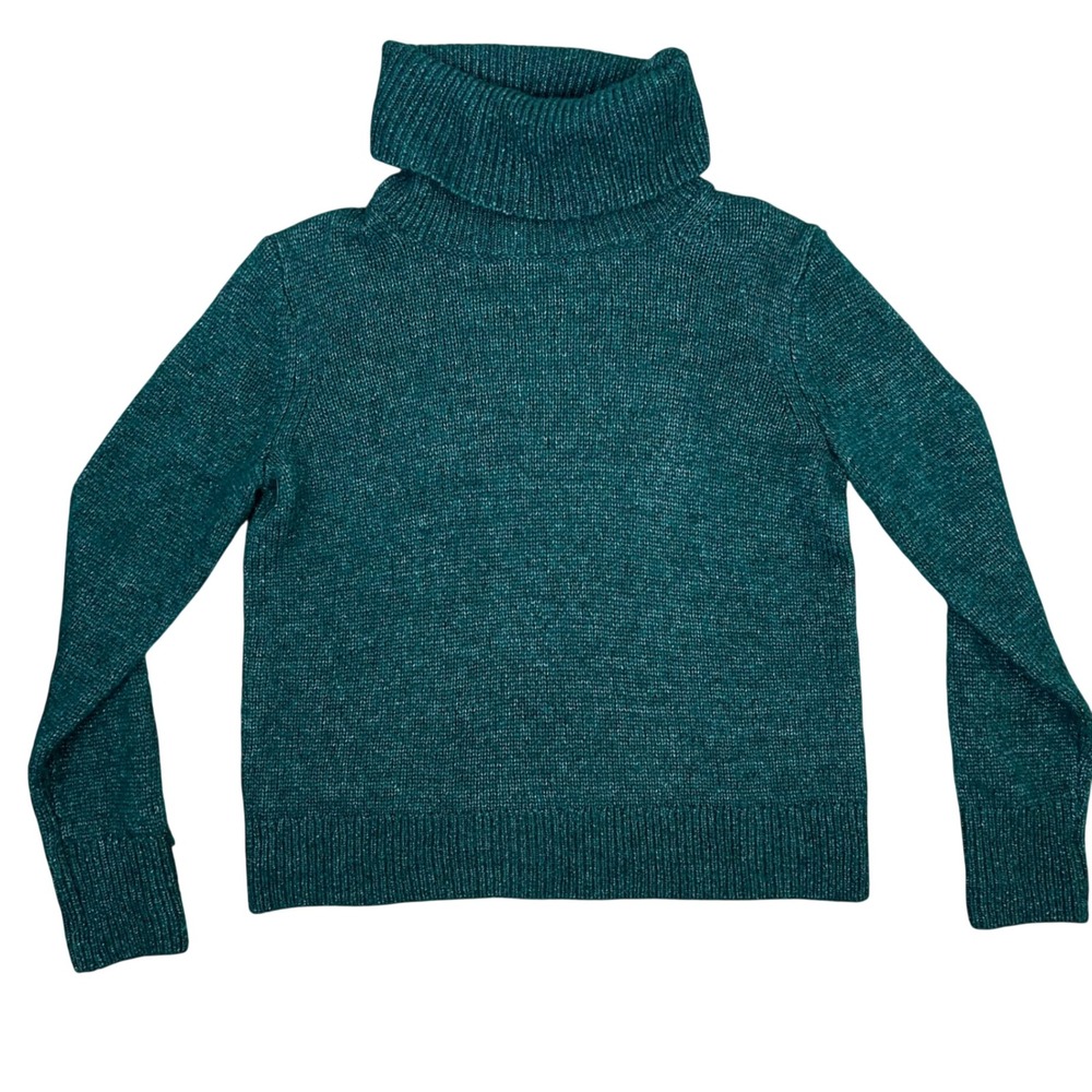 Banana Republic Mitzi Turtleneck Sweater Glen Green Merino Alpaca Blend Small